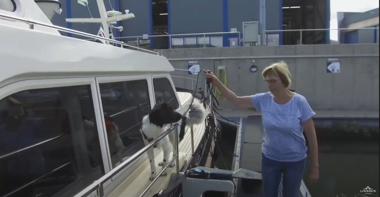 Honden aan boord van een Linssen-jacht