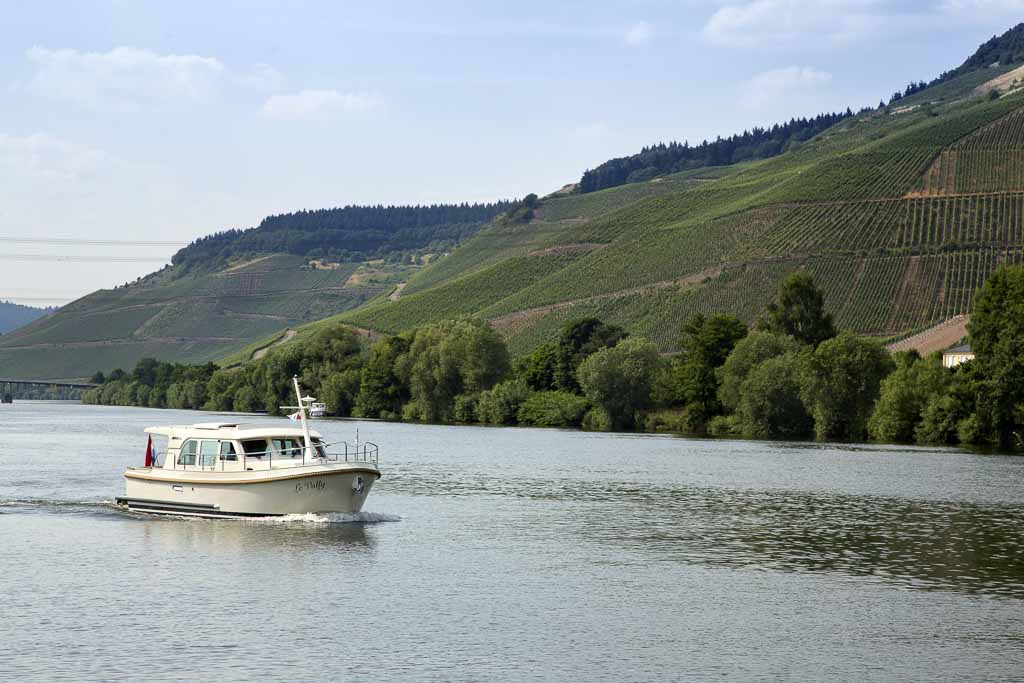Wine making along the river Moselle